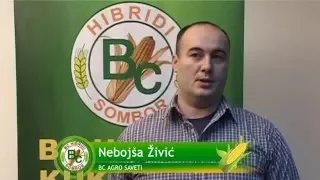 BC HIBRIDI 2016. Pajdaš, Riđan i BC čuvar sklopa