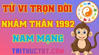 Tử Vi Trọn Đời Nhâm Thân 1992 Nam Mạng