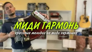 Хочешь так же? Уникальный оркестр на гармони. Тысячи инструментов в одной гармошке. Миди гармонь