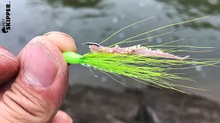 Simple Fishing Rig Catches EVERY SPECIES!