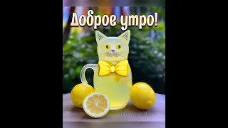 доброе утро страна 1😃♥️🥳🌟