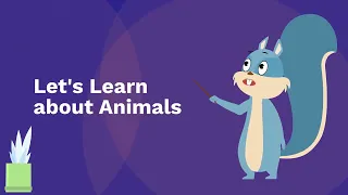 "Discovering Animals: Fun and Educational Animal Facts for Kids" | #kidscorner