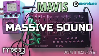 MOOG MAVIS MONOPHONIC ANALOG SYNTHESIZER - MASSIVE SOUND !   DRONE & TEXTURES #1