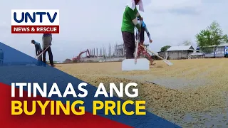 NFA, nagtakda ng bagong buying price range para sa basa at tuyong palay