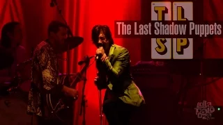 "THE LAST SHADOW PUPPETS" LIVE  at Lollapalooza Chicago 2016