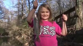 Arkansas Wildlife - S3.E9, Trout in the City and Arkansas Duck Hunting History