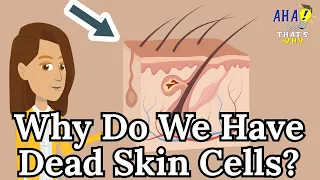 Why Do We Have Dead Skin Cells?