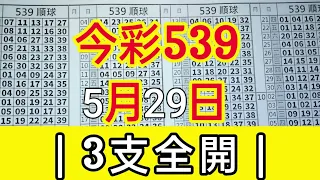 今彩539 5月29日 {1} | 共享 39預測 今天 | 3支全開