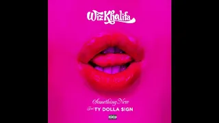 Wiz Khalifa - Something New (feat. Ty Dolla $ign) ft. Ty Dolla $ign (Clean Version)