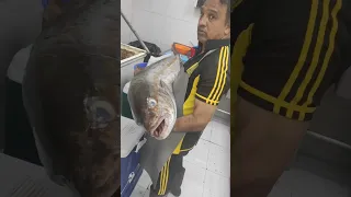 Amberjack Fish 20kg