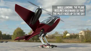 Is It A Bird? Is It A Plane? Or Is It ... Both?! African Start-Up Design Bizarre 'Birdoplane'