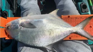 This Is Why You Fish A Spoon (Florida Saltwater Fishing)