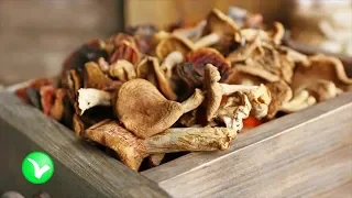 Сушёные грибы – польза и вред для человека! Зачем сушить грибы!
