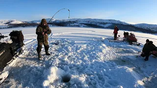 ЗИМНЯЯ МОРСКАЯ РЫБАЛКА. Рыбу увозили мешками / COOL WINTER SEA FISHING