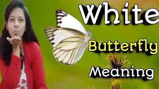 White Butterfly🦋Meaning In Hindi||Seeing White Butterflies🦋||