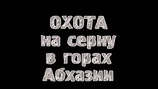 Охота на серну в горах Абхазии