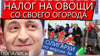 Налоговая про НАЛОГ на овощи с огорода / Закон против олигархов! Зеленский, а есть ли дно...