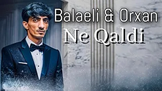 Nicat Eliyev & Balaeli - Ne Qaldi (Yeni 2023)
