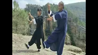Kung Fu / Wing Chun / Jook Wan Huen