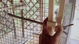 Making an Assemblable Bird Cage