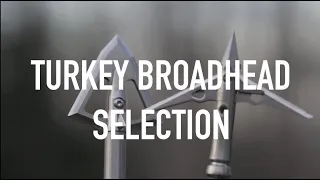 Broadhead Selection for Turkeys