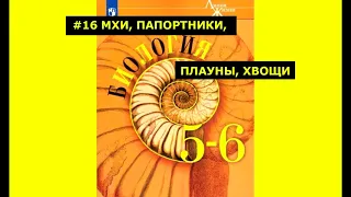 Биология параграф #16 МХИ, ПАПОРТНИКИ, ХВОЩИ, ПЛАУНЫ