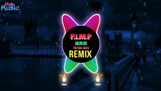 P.I.M.P 越南鼓 (LAY Remix Tiktok 2023) I Don't Know What You Heard About Me || Hot Tiktok Douyin DJ抖音版