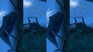  Whale Encounter | 3D 360 VR|By Islam School.