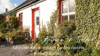 Adorable hidden cottage & tree planting in County Clare ☘️