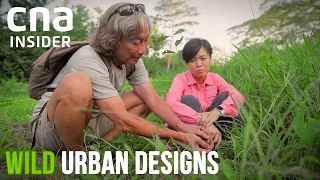 Rewilding Singapore With Wilder, More Diverse Habitats | Wild Urban Designs | CNA Documentary