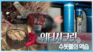 물의 비밀 '워터 시크릿' I 수돗물의 역습 💧