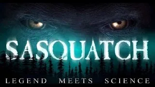 Sasquatch! Legend Meets Science In Depth Interview with Dr. Jeff Meldrum #youtube #bigfoot #scareo