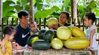 Melon A Favorite Dessert On Hot Summer Days/Everyday Life - Le Thi Hon