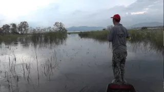 Fishing Video !!! Mama Toman Giant Snakehead Wild Fishing Thailand- BKKGUY