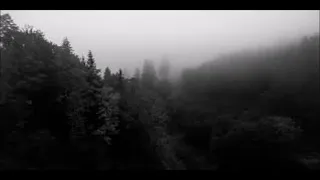 Finca Escobar - Pedro Bromfman | Narcos | 1 Hour Dark Forest Sound
