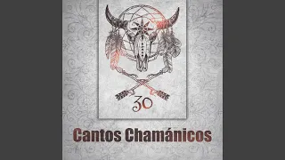 Tambores Chamánicos