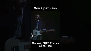 Мой брат Каин (Москва, ГЦКЗ Россия, 01.08.1988) #shorts