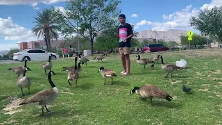 Giovanni fed all the ducks at the park! @hyperkidzfam