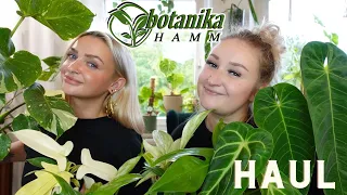 XXL BOTANIKA HAUL ✨ | September 2023 Botanika Hamm 🪴