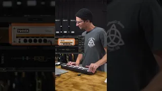 Flute through a guitar amp