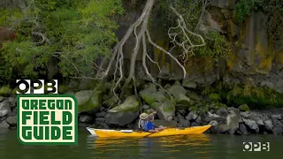 Paddle into The Heart Of the Columbia River
