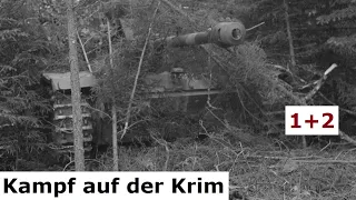 Sturmgeschütze im Kampf - 1942