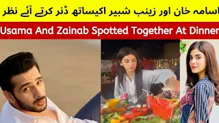 Usama Khan And Zainab Shabbir Spotted Together At Dinner Pakistan Drama Actor ARY Hum Tv Bollywood