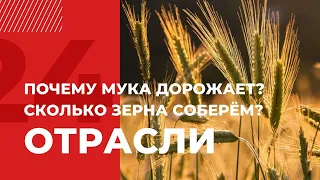 Половина урожая казахстанского зерна отправится на экспорт | Отрасли