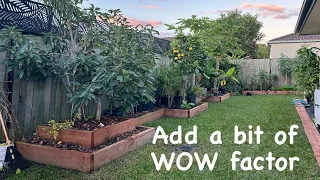 HOW I BUILT MY RAISED BED GARDEN , Fruit trees and veggies