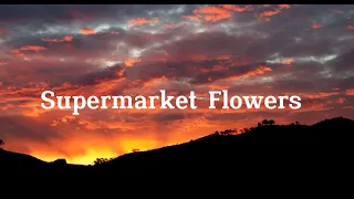 Ed Sheeran - Supermarket Flowers