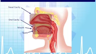 EMT 1-4:  Overview of the Human Body and Physiology