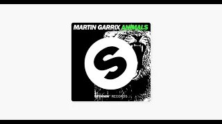 Martin Garrix - Animals ( Sub Zero Project Bootleg ) (Very HQ)