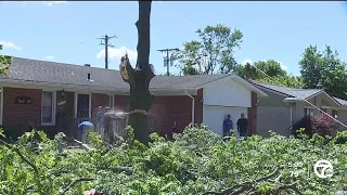 After Livonia tornado, families and neighbors band together for clean-up effort