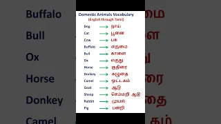 Domestic Animals Vocabulary English through Tamil !! #learnenglish  #englishtotamil #tamiltoenglish